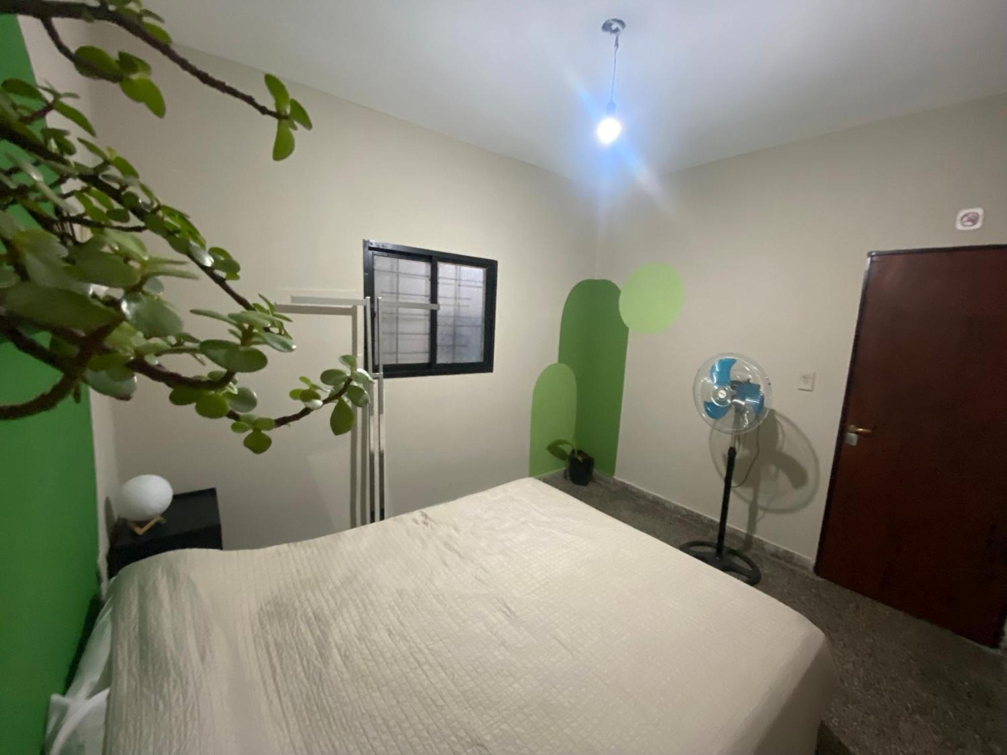 Urban Jungle Hostel San Miguel de Tucumán Exteriér fotografie